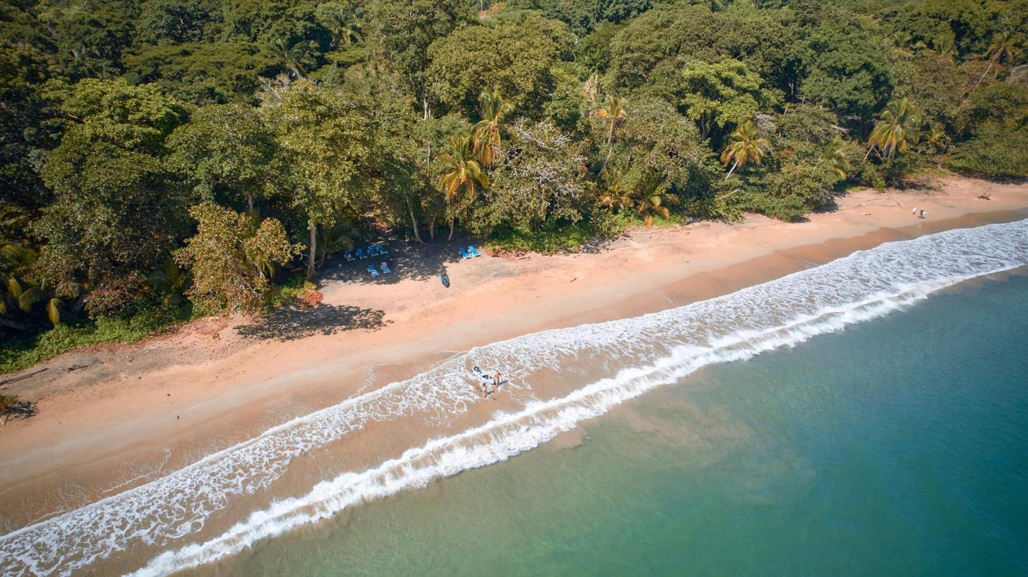 Casa Viva Lodge Puerto Viejo de Talamanca Dış mekan fotoğraf