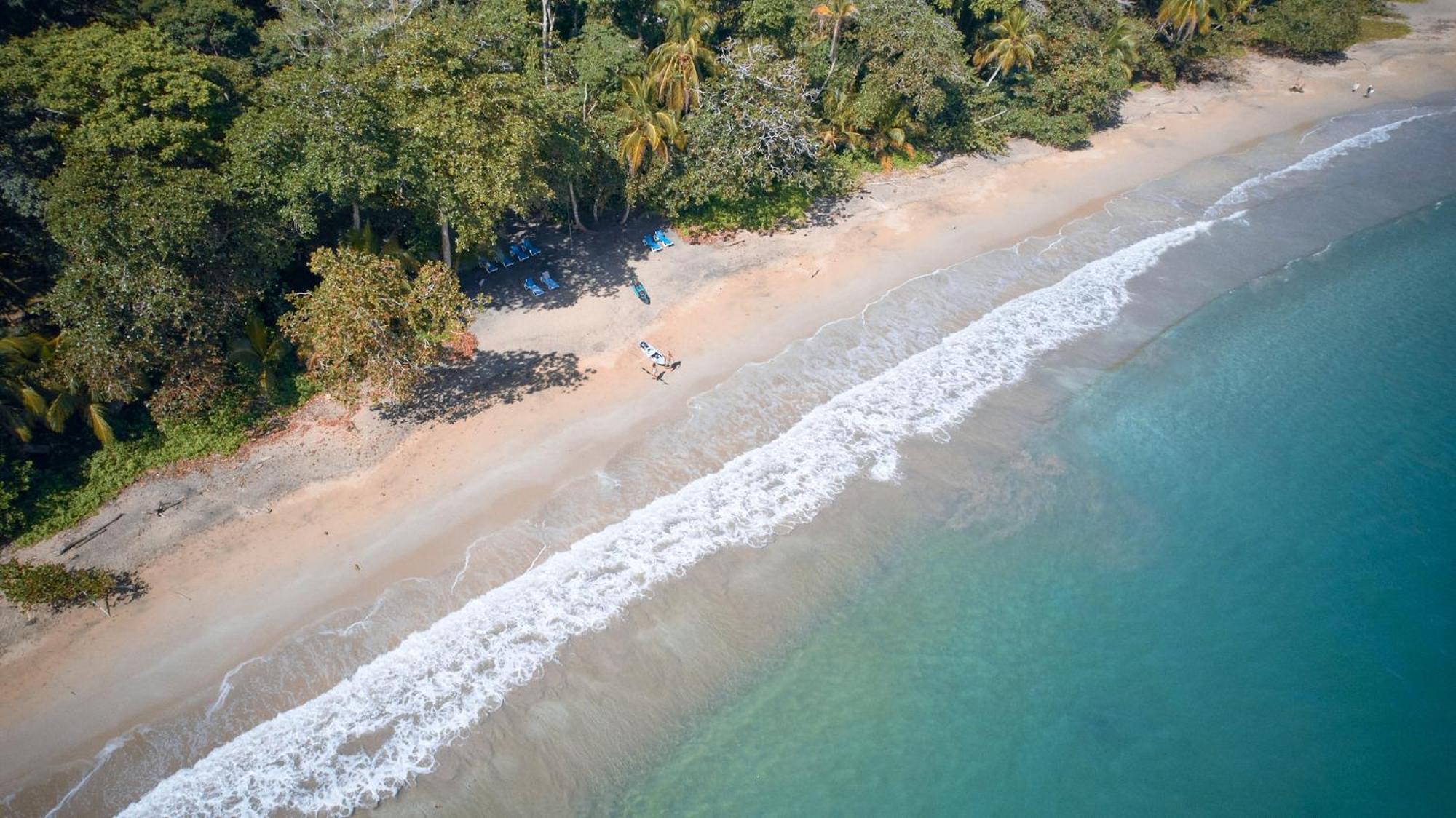 Casa Viva Lodge Puerto Viejo de Talamanca Dış mekan fotoğraf