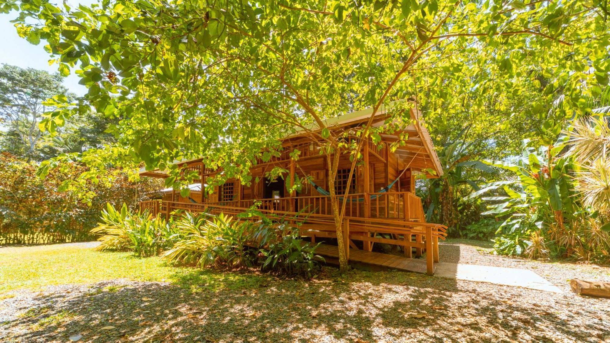 Casa Viva Lodge Puerto Viejo de Talamanca Dış mekan fotoğraf