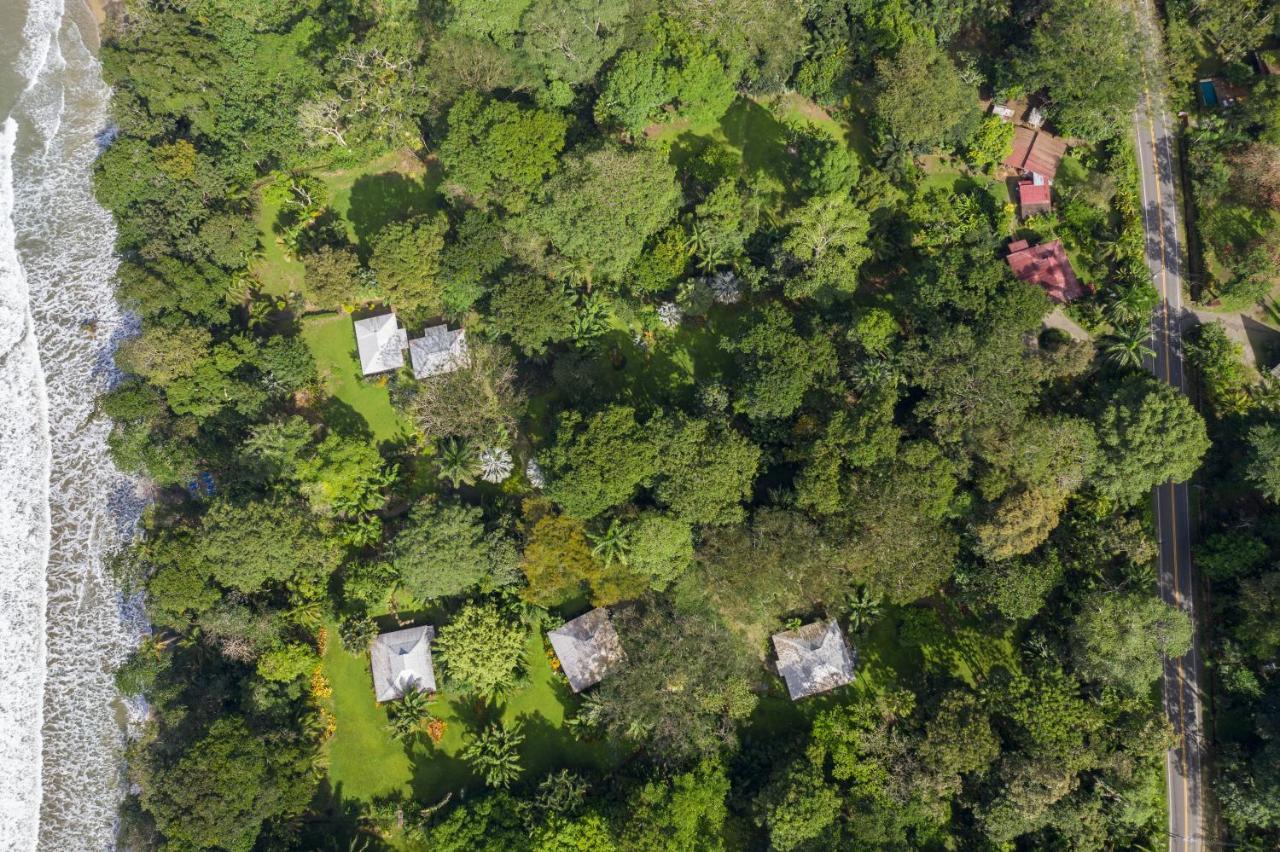 Casa Viva Lodge Puerto Viejo de Talamanca Dış mekan fotoğraf